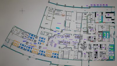 Lay Out